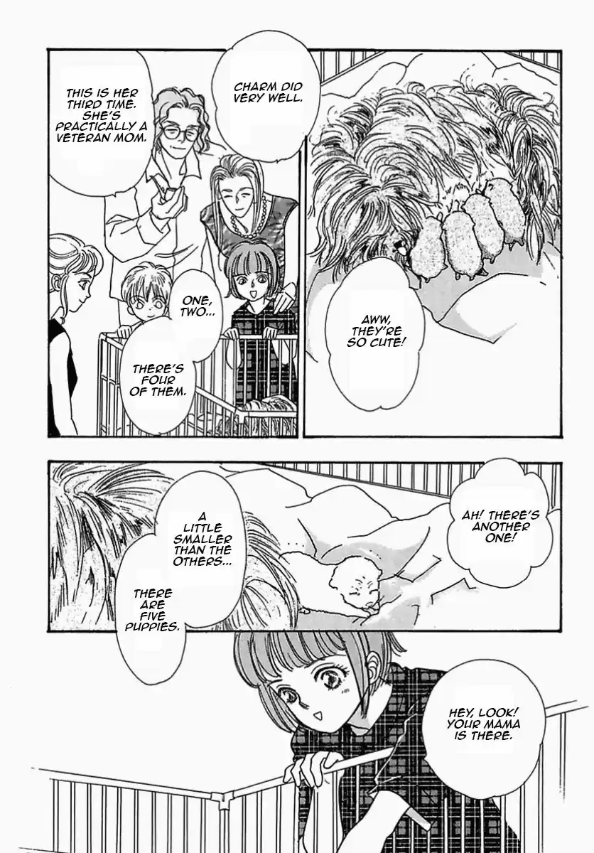 Chapter 24
